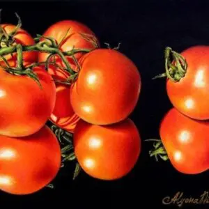 Portrait of Tomatoes
